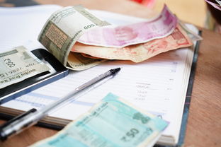 驾照贷额度8000到50000免费拿一万,本篇归档十款18岁可以借钱的小额平台