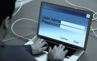 不看征信的贷款平台哪个好？老用户真实反馈！