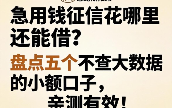 急用钱征信花哪里还能借？盘点五个不查大数据的小额口子，亲测有效！