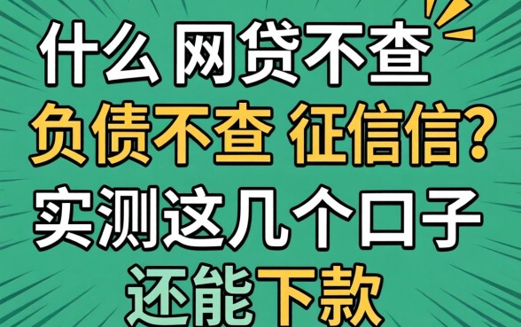 什么网贷不查负债不查征信？实测这几个口子还能下款