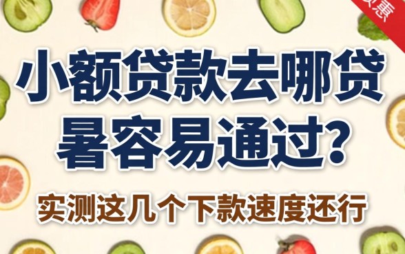 小额贷款去哪贷最容易通过？实测这几个下款速度还行