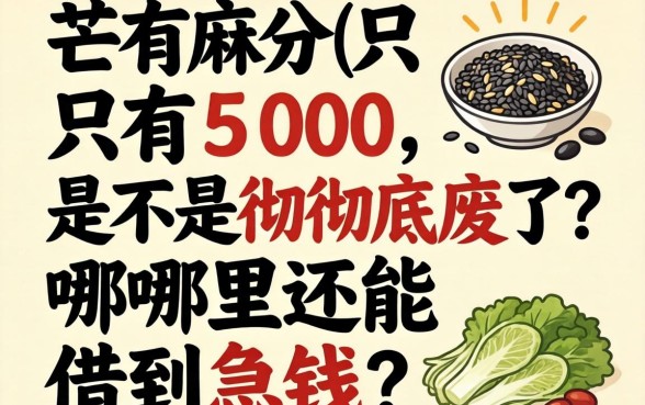 芝麻分只有500,是不是彻底废了?哪里还能借到急钱?