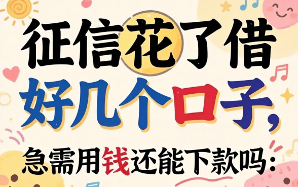 求助!征信花了借了好几个口子,现在急需用钱还能下款吗?