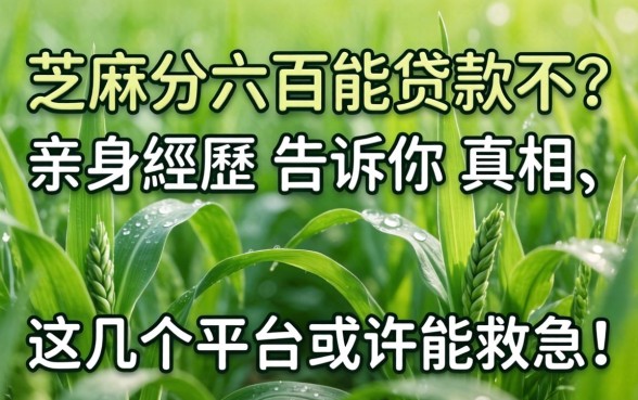 芝麻分六百能贷款不？亲身经历告诉你真相，这几个平台或许能救急！