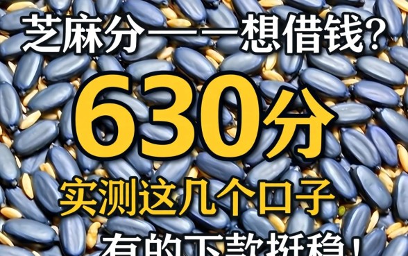 芝麻分630分想借钱？实测这几个口子，有的下款挺稳！