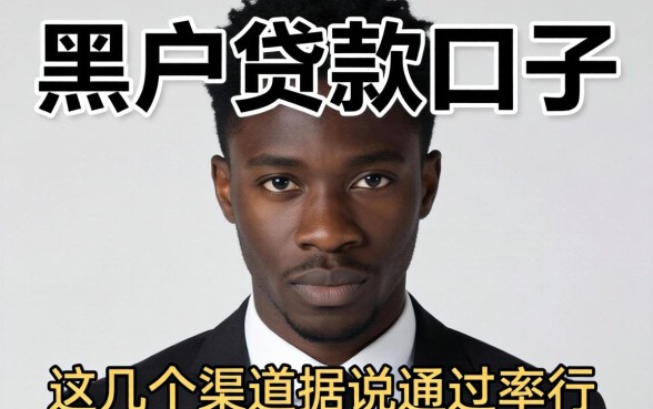 揭秘黑户贷款口子2026：这几个渠道据说通过率还行