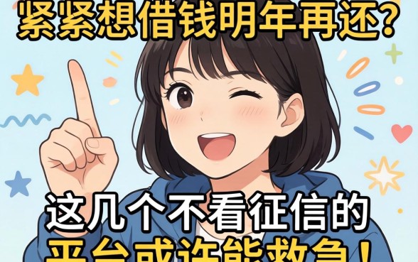 手头紧想借钱明年再还？这几个不看征信的平台或许能救急！