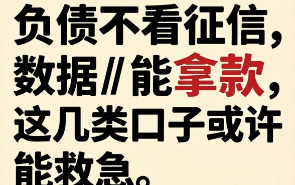 无视负债不看征信数据能拿款的，这几类口子或许能救急
