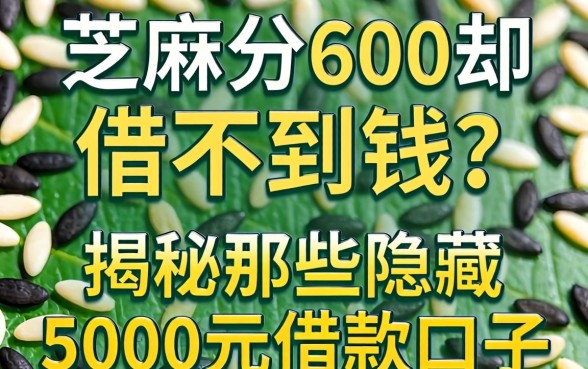 芝麻分600却借不到钱？揭秘那些隐藏的5000元借款口子