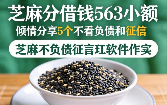 芝麻分借钱563小额，倾情分享5个不看负债和征信的软件