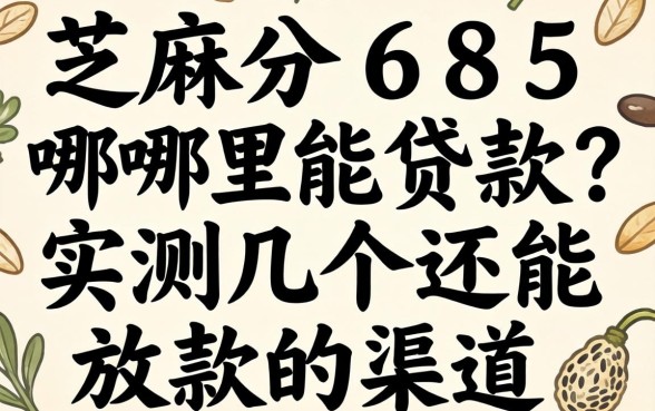 芝麻分685哪里能贷款？实测几个还能放款的渠道