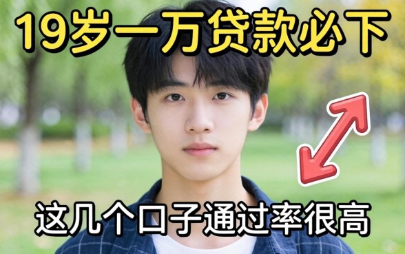 揭秘19岁一万贷款必下，这几个口子通过率很高