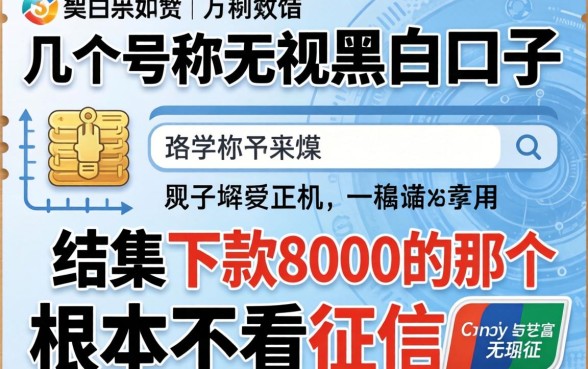 我试了几个号称无视黑白的口子,结果下款8000的那个根本不看征信