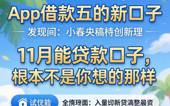 我试了app借款今天的新口子，发现11月能贷款的口子根本不是你想的那样