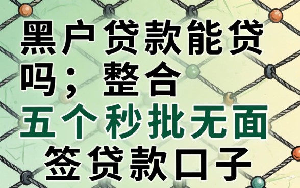 网上的黑户贷款能贷吗，整合五个秒批无面签贷款口子
