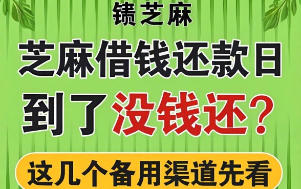 芝麻借钱还款日到了没钱还？这几个备用渠道先看