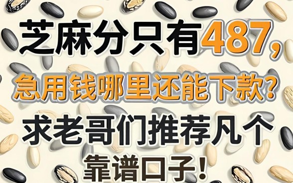 芝麻分只有487，急用钱哪里还能下款？求老哥们推荐几个靠谱口子！