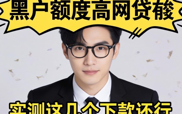 揭秘2026黑户额度高的网贷有哪些，实测这几个下款还行