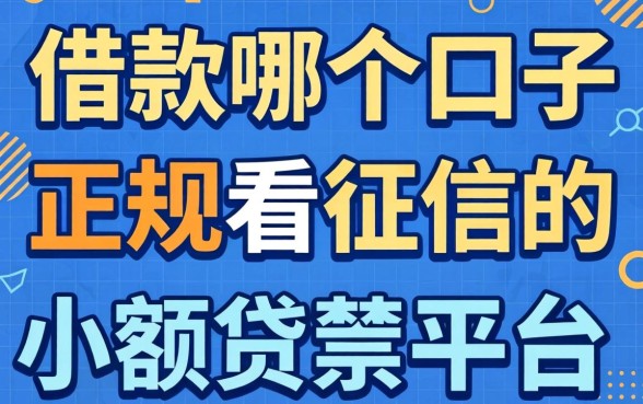 我试了借款哪个口子和正规不看征信的小额贷款平台，发现这些渠道其实没那么难找