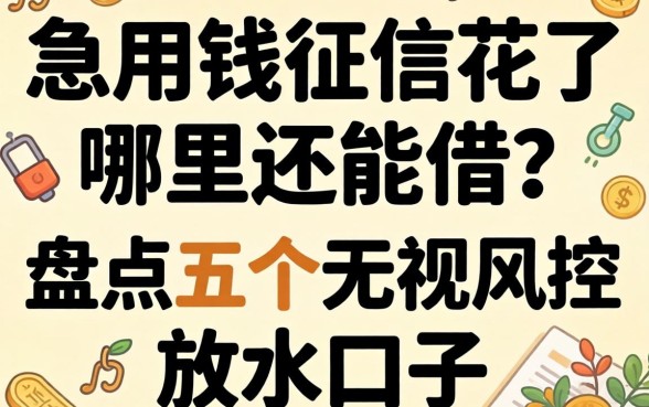急用钱征信花了哪里还能借？盘点五个无视风控的放水口子