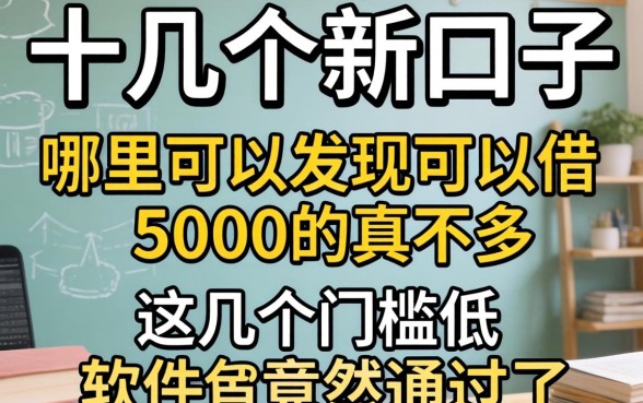 我试了十几个新口子,发现哪里可以借5000的真不多,这几个门槛低软件竟然通过了