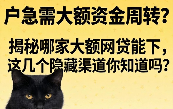 黑户急需大额资金周转?揭秘哪家大额网贷能下,这几个隐藏渠道你知道吗?