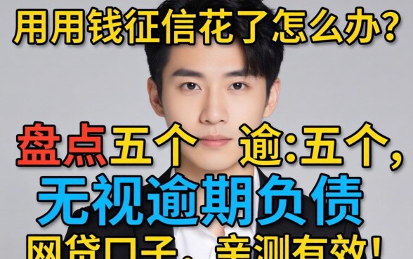 急用钱征信花了怎么办?盘点五个无视逾期负债的网贷口子,亲测有效!