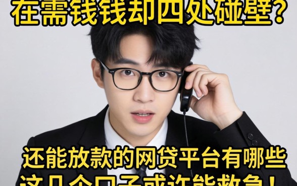 急需用钱却四处碰壁？2026还能放款的网贷平台有哪些？这几个口子或许能救急！