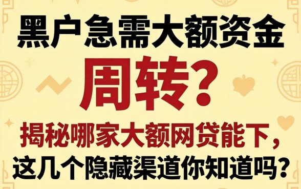 黑户急需大额资金周转?揭秘哪家大额网贷能下,这几个隐藏渠道你知道吗?