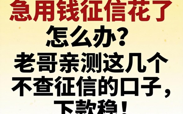急用钱征信花了怎么办？老哥亲测这几个不查征信的口子，下款稳！