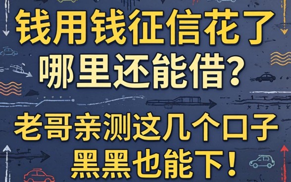 急用钱征信花了哪里还能借?老哥亲测这几个口子黑户也能下!
