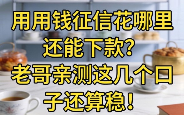 急用钱征信花哪里还能下款？老哥亲测这几个口子还算稳！