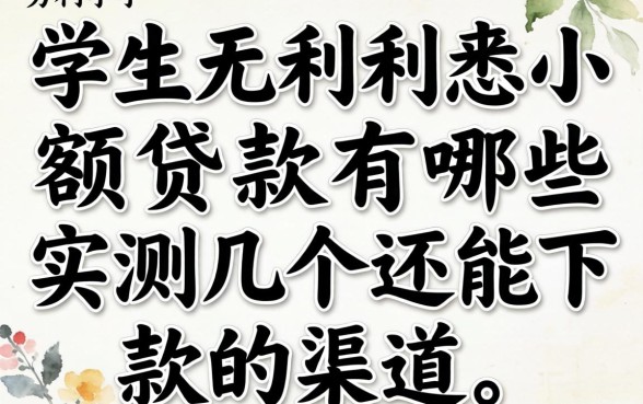 学生无利息小额贷款有哪些？实测几个还能下款的渠道