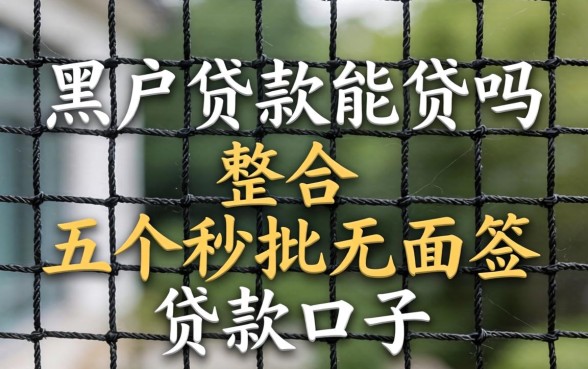 网上的黑户贷款能贷吗，整合五个秒批无面签贷款口子