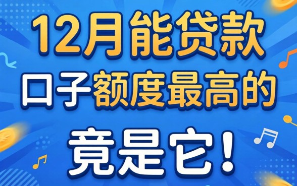 我试遍了全网，发现12月能贷款的口子额度最高的竟是它
