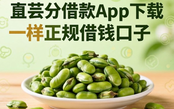 揭秘像芸豆分借款app下载一样正规的借钱口子有哪些