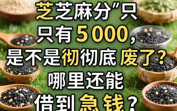 芝麻分只有500,是不是彻底废了?哪里还能借到急钱?