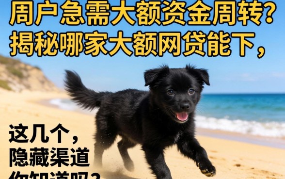 黑户急需大额资金周转?揭秘哪家大额网贷能下,这几个隐藏渠道你知道吗?