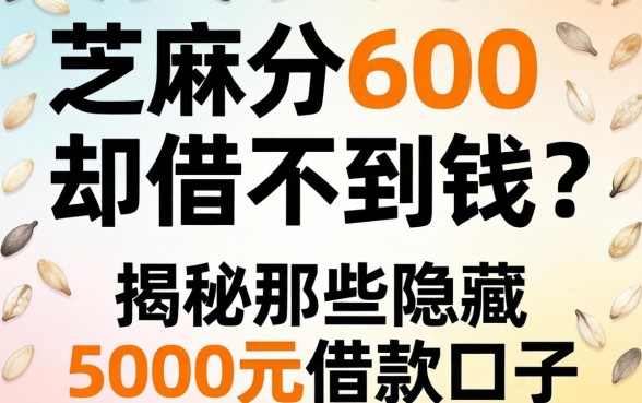 芝麻分600却借不到钱？揭秘那些隐藏的5000元借款口子