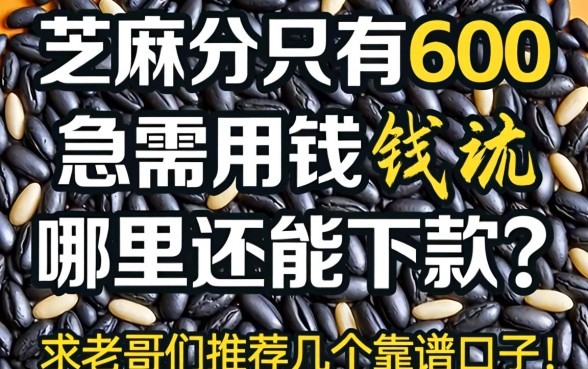 芝麻分只有600，急需用钱哪里还能下款？求老哥们推荐几个靠谱口子！