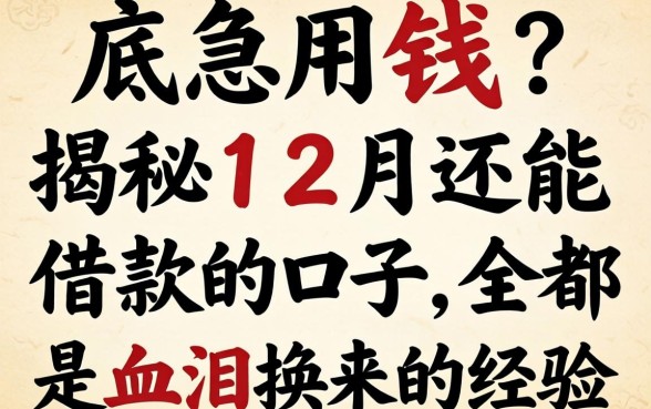 年底急用钱？揭秘12月还能借款的口子，全是血泪换来的经验