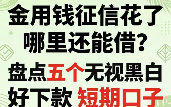 急用钱征信花了哪里还能借？盘点五个无视黑白好下款的短期口子