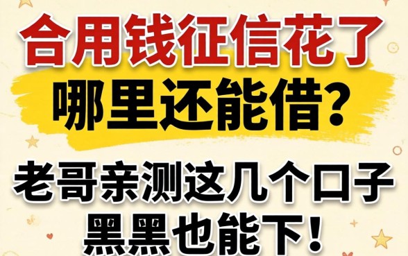 急用钱征信花了哪里还能借?老哥亲测这几个口子黑户也能下!