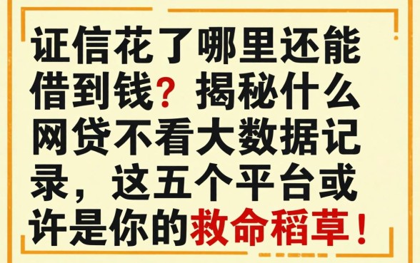 征信花了哪里还能借到钱？揭秘什么网贷不看大数据记录，这五个平台或许是你的救命稻草！