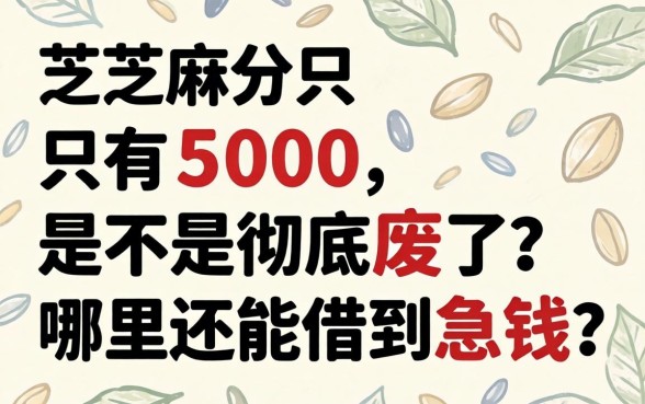 芝麻分只有500,是不是彻底废了?哪里还能借到急钱?