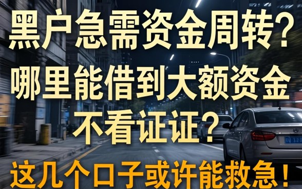 征信黑户急需资金周转？哪里能借到大额资金不看征信？这几个口子或许能救急！