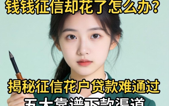 急需用钱征信却花了怎么办？揭秘征信花户贷款难通过的真相与五大靠谱下款渠道