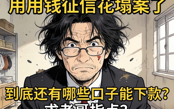 急用钱征信花了一塌糊涂，到底还有哪些口子能下款？求老哥指点！