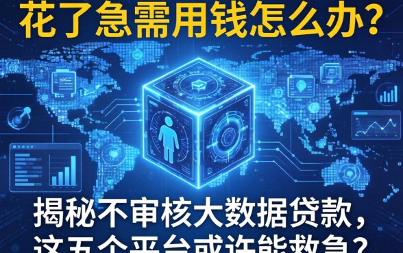 大数据花了急需用钱怎么办？揭秘不审核大数据的贷款，这五个平台或许能救急！
