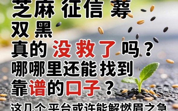 芝麻征信双黑真的没救了吗？哪里还能找到靠谱的口子？这几个平台或许能解燃眉之急